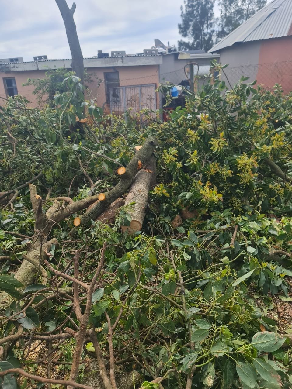 Full yard and property clearing in Pietermaritzburg